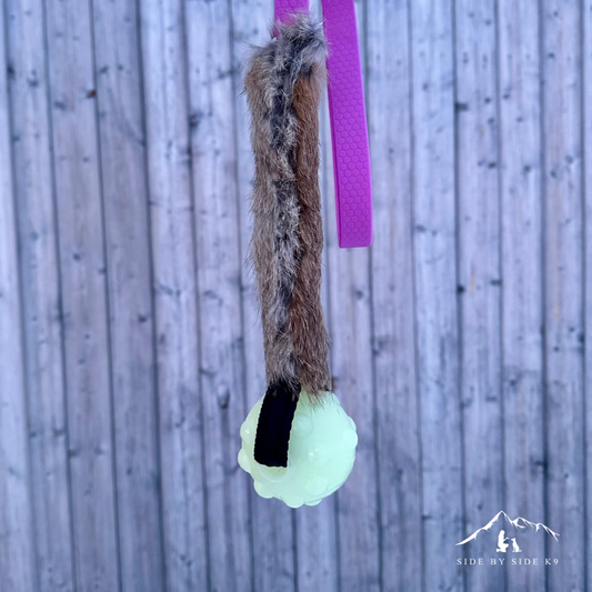 Silverfang med Handtag