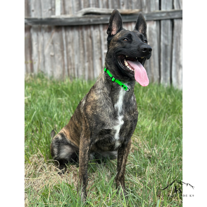 Training Collar / Lure 16mm wide
