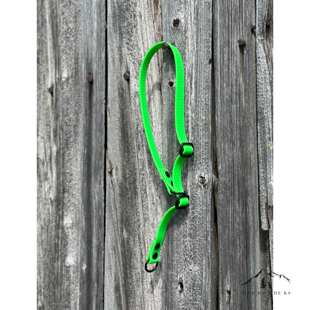 Training Collar / Lure 16mm wide