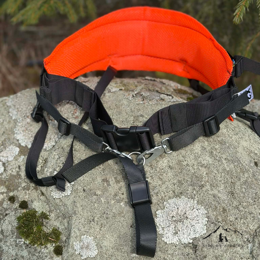 Baggen Softbelt Alpha