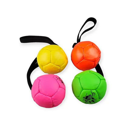 Läderboll med handtag