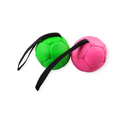 Läderboll med handtag