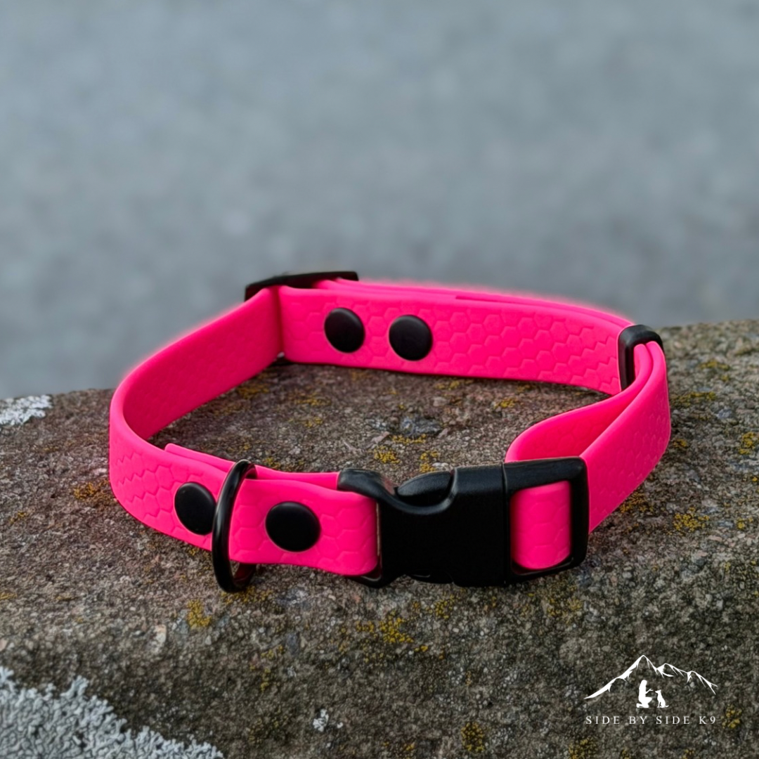 Halsband ställbart