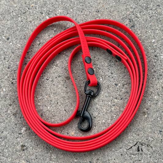 Hexagon leash 10mm
