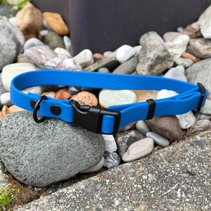 Halsband ställbart