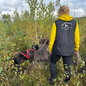 Viltspår