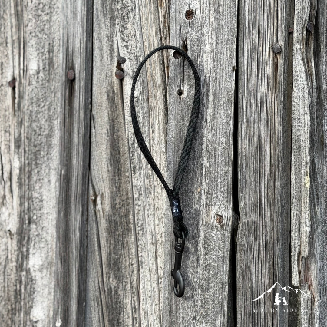 City Leash Handle