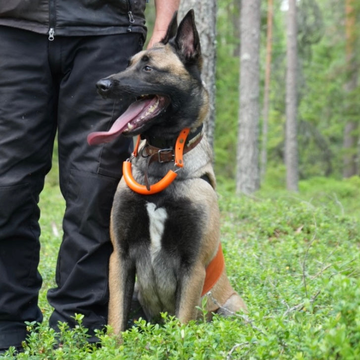 Sök kurs för nybörjare