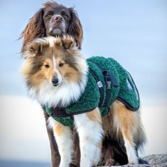 Canelana Wool Blanket Ambassador/Selva