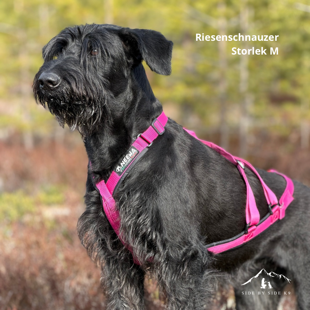 NEEWA sled dog X-back