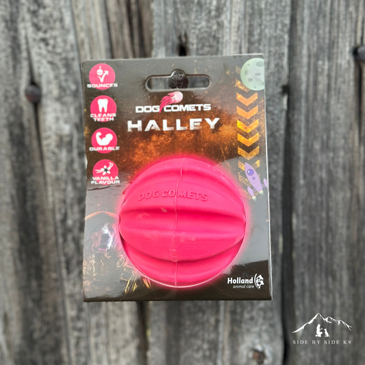 Dog Comets Haly-Bopp