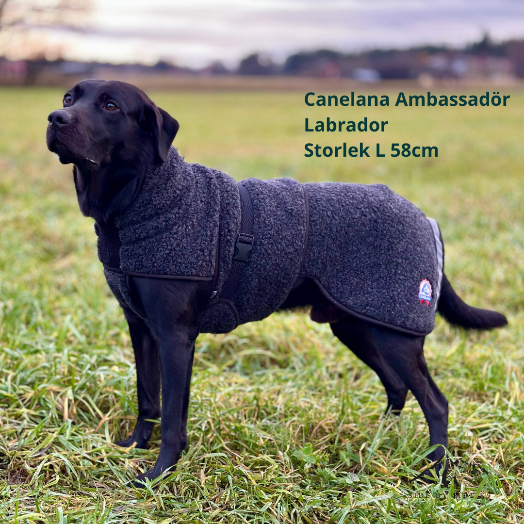 Canelana Wool Blanket Ambassador/Selva