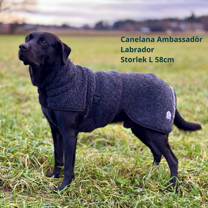 Canelana Wool Blanket Ambassador/Selva