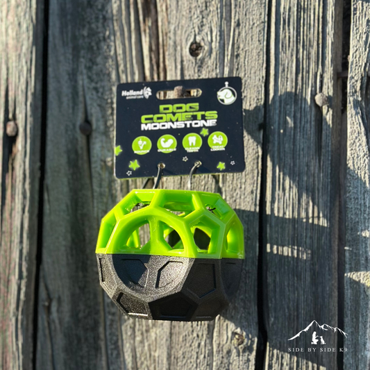 Dog Comets Moonstone