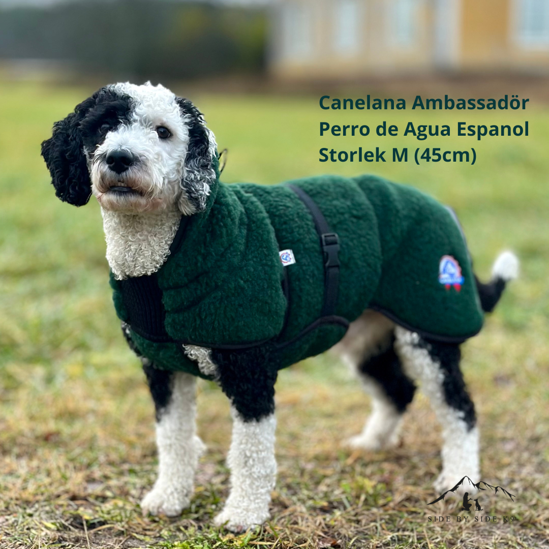 Canelana Wool Blanket Ambassador/Selva